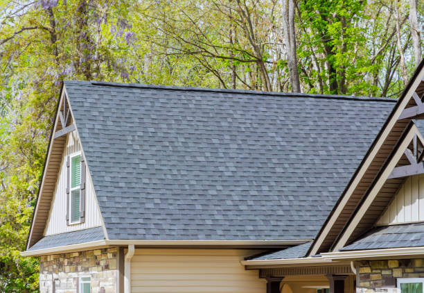 Best Chimney Flashing Repair  in Lewisburg, WV