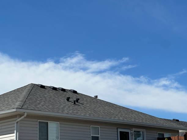 Best Asphalt Shingles Roofing  in Lewisburg, WV